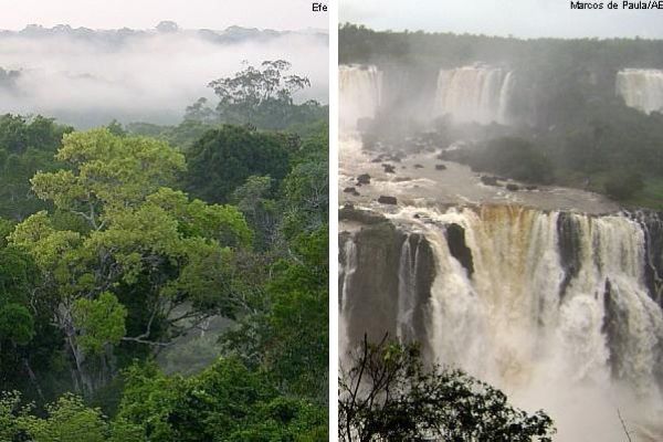 Cataratas e Amazônia entram em lista preliminar das 7 Maravilhas da Natureza