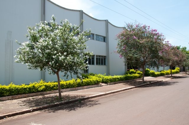 FLORADA DA EXTREMOSA EM CORBÉLIA - CIDADE DAS FLORES