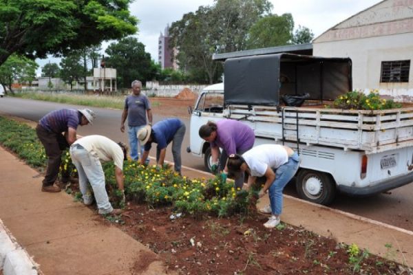 Canteiros são preparados para receberem o plantio de inverno