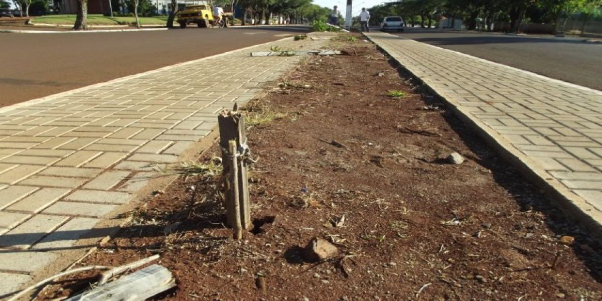 Vândalos destroem canteros da Av.São Paulo
