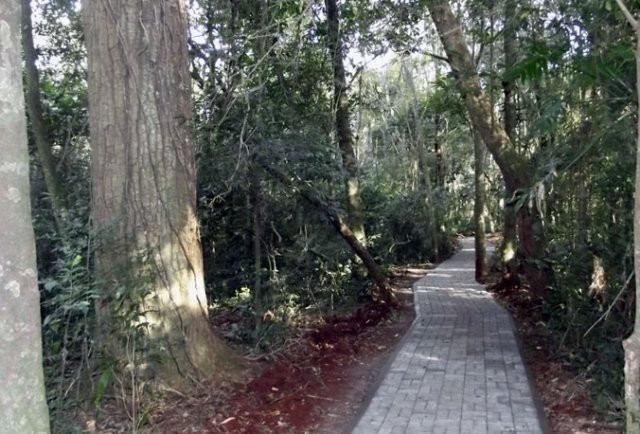 Parque Ecológico de Corbélia está sendo implantado