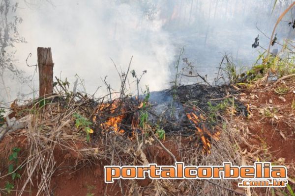 Incendio consome plantaçao de eucalipto proximo a Braganey