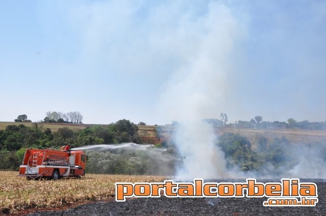 Incêndio da trabalho aos Agentes de Defesa Civil de Corbélia