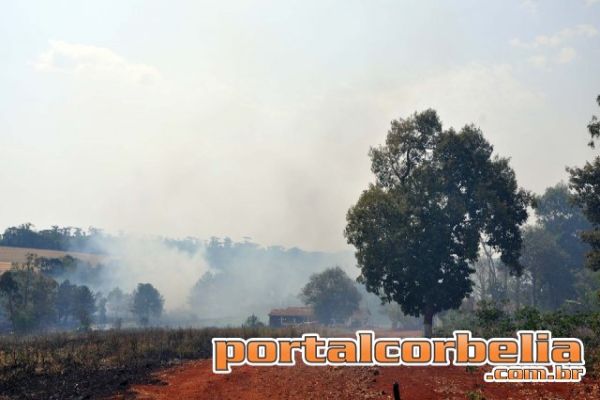 Incêndio de grandes proporções destrói area rural