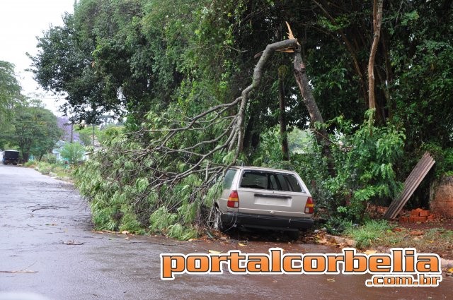 Chuva chega acompanhada de ventos fortes durante a madrugada