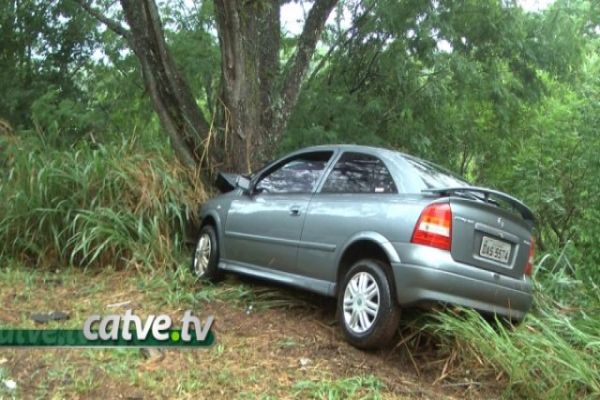 PR 573: Motorista perde controle, sai da pista e bate em árvore