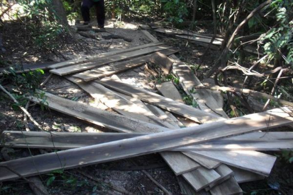 Polícia Ambiental Prende homem por desmatamento em mata ciliar