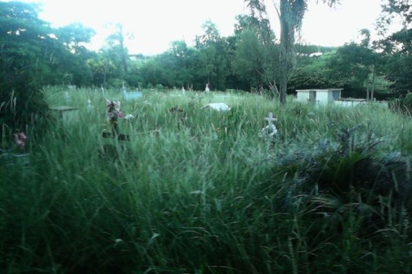 Moradores reclamam de abandono no Cemitério Municipal