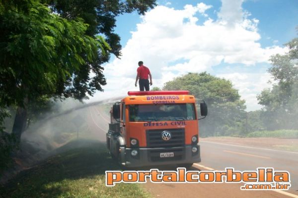 Incêndio na Br 369