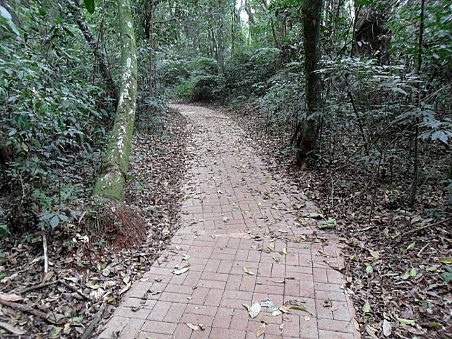 Vereador quer explicação para parque abandonado