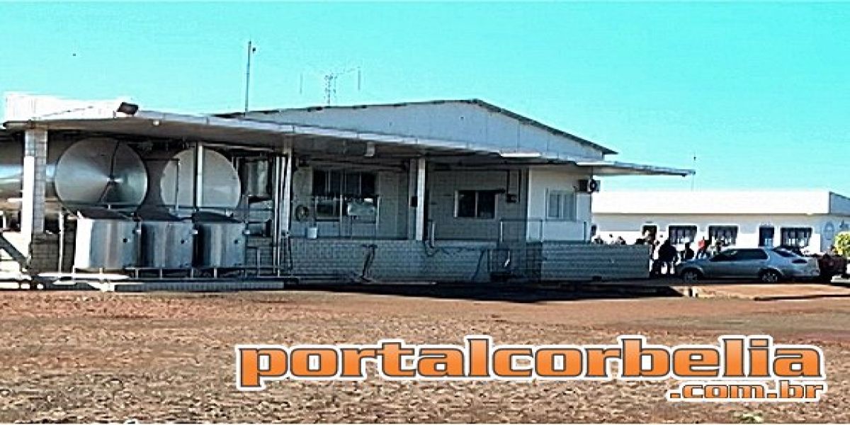 Laticínios fecha e deixa prejuízos em Braganey