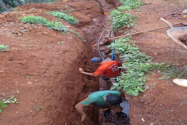 Agricultores do Município de Corbélia recuperam nascente na comunidade do Vasquinho