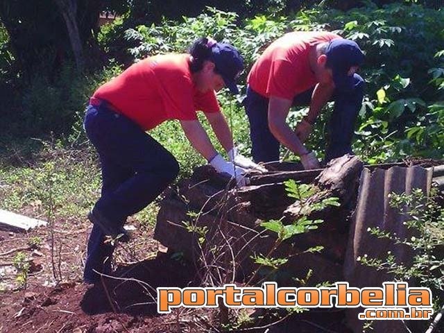 Defesa Civil resgata gato que caiu em poço em Ouro Verde