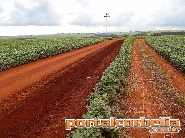 Solução do pedágio pode estar na construção de uma estrada