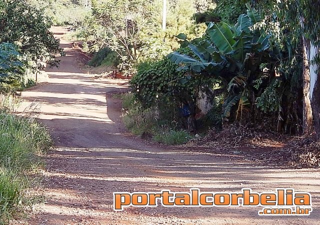 População do Bairro Alvorada do Sol lota a Câmara para pedir calçamento