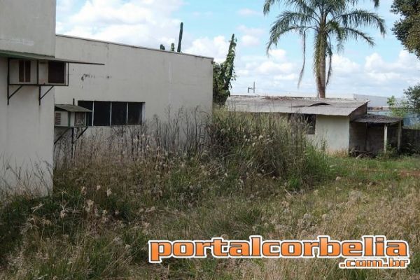 Abandono leva risco à população
