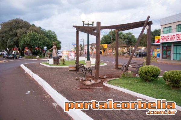 Veículo desgovernado atinge canteiro no centro e causa estragos