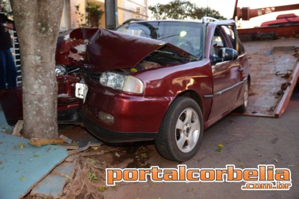 Parati perde o controle e bate em árvore