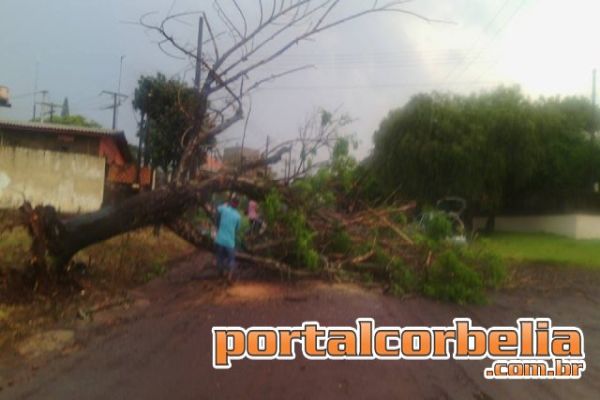 Ventos fortes e granizo assustam moradores de Corbélia