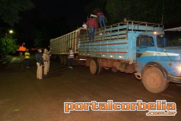 Polícia recupera 25 cabeças de gado roubadas em Ouro Verde do Piquiri