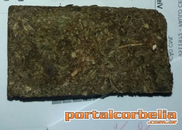 3 são apreendidos com drogas na rodoviária em Corbélia