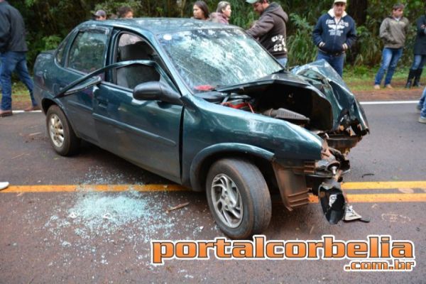 Carro bate em árvore após perder controle na PR573