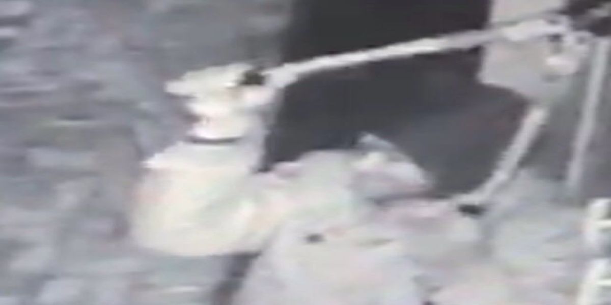 Distribuidora de bebidas é arrombada e tem produtos furtados