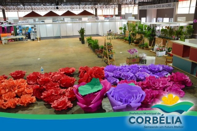 Tudo pronto para o início da Festa das Flores