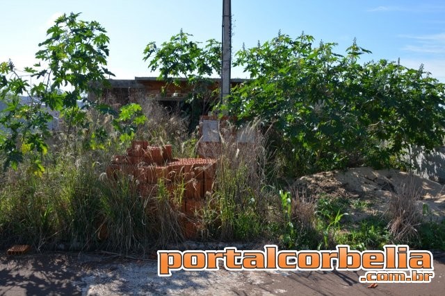 Audiência Pública sobre projeto de lei que dispõe sobre limpeza de lotes e coleta de entulho em Corbélia