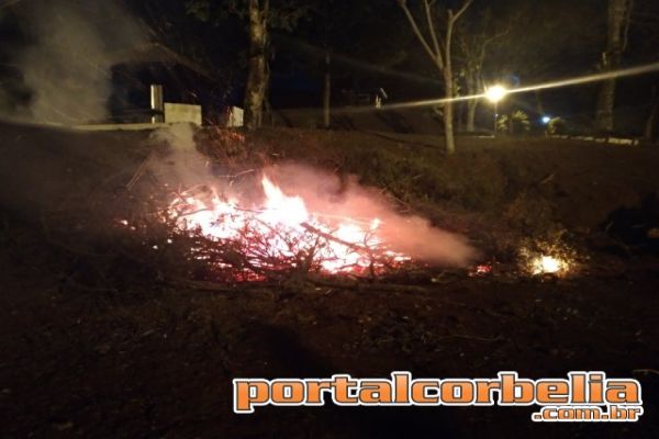 Bombeiros controlam incêndio no lago municipal