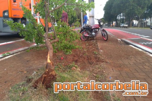 Queda de moto é registrada na Avenida São Paulo