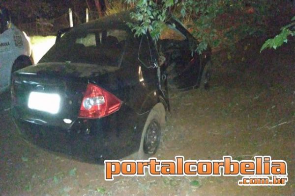 Fiesta perde controle em estrada rural e bate contra árvore