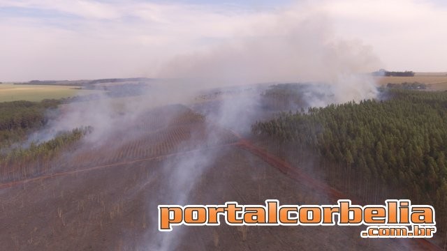 Incêndio de grandes proporções na Colônia Melissa