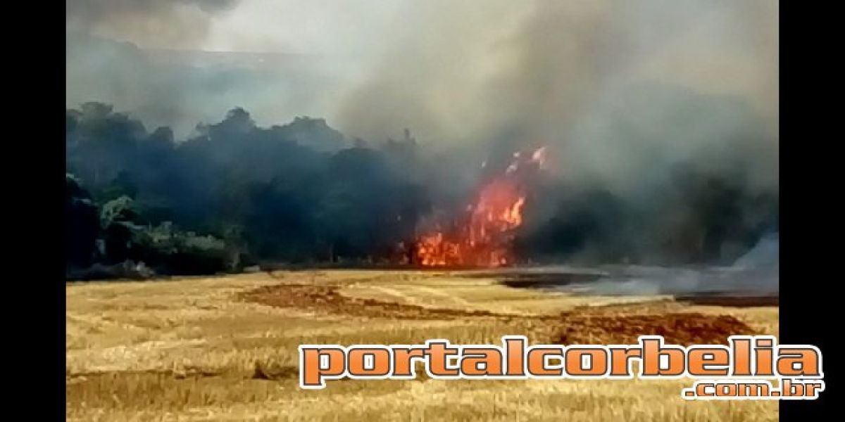 Diversos focos de incêndio são registrados nesta segunda-feira