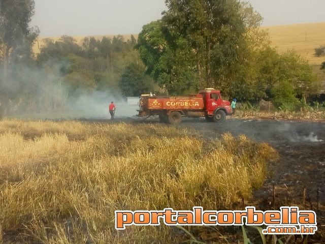 Incêndio ambiental é controlado na linha samambaial