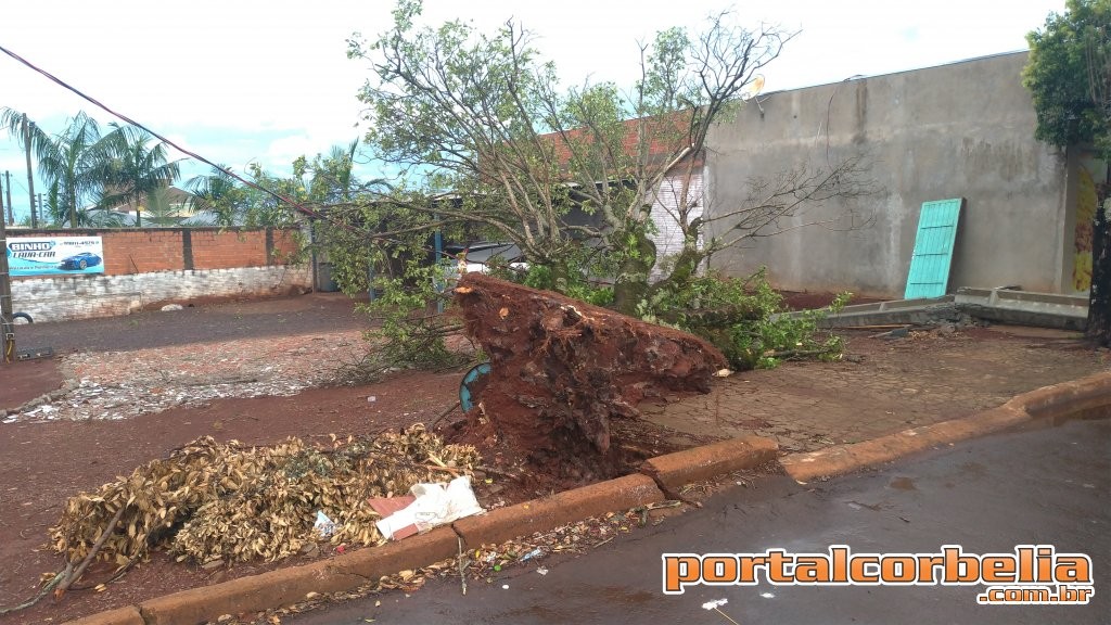 Ventos fortes e chuva são registrados na tarde deste domingo em Corbélia