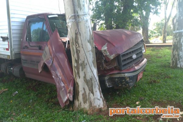 Caminhão perde freios e atinge árvore na praça paraguai