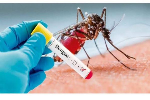 Paraná confirma 12 novos óbitos por dengue