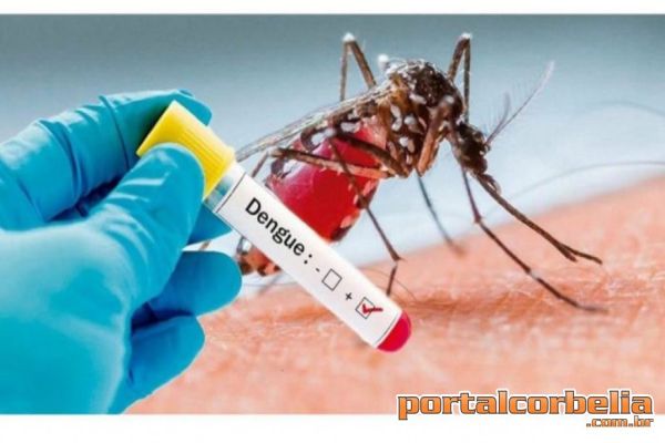 Corbélia tem 130 casos de Dengue confirmados