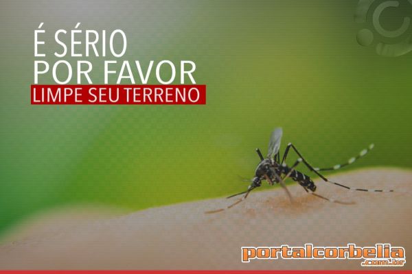 Relatório casos de dengue em Corbélia é divulgado, e assusta