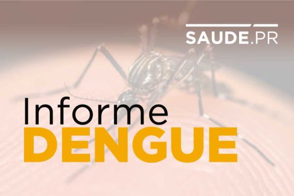 Dengue é causa de morte de 105 pessoas desde agosto de 2019