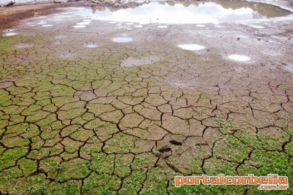 Governo decreta situação de emergência hídrica por causa da estiagem