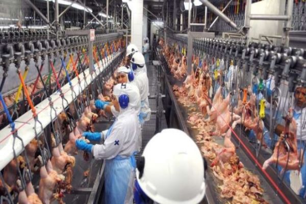 Covid-19: Frigoríficos de Cascavel não serão fechados neste primeiro momento