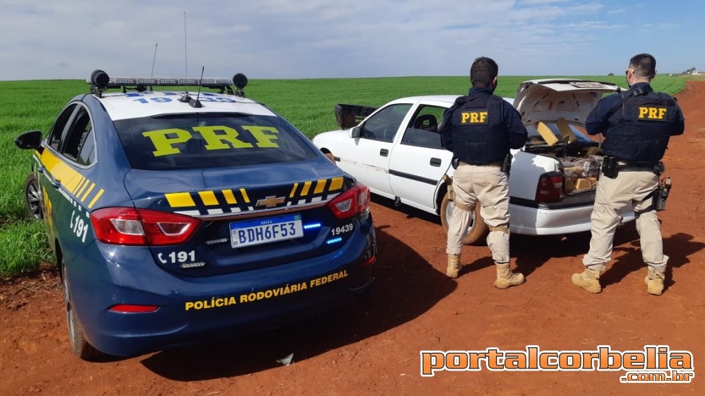 PRF apreende 400 Kg de Maconha na BR369 em Corbélia