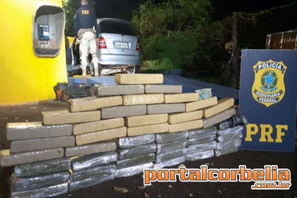 Operação Tamoio II: Em fundos falsos, PRF apreende R$ 18 mil e 36 quilos de maconha no Paraná