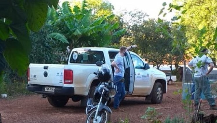 Equipes ambientais estão em Nova Aurora para tentar capturar o leão