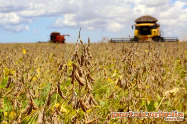 Paraná pode colher 40,9 milhões de toneladas de grãos