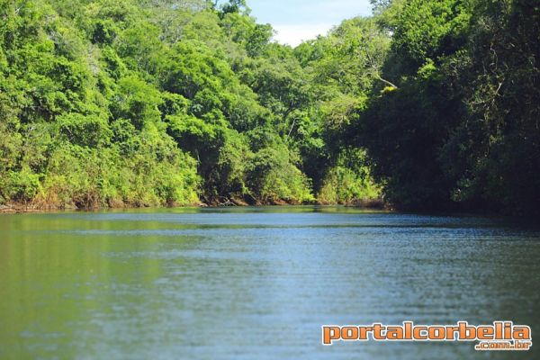 Pesca nos rios Ivaí e Piquiri está liberada a partir dessa sexta