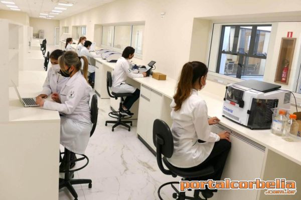 Pesquisadores paranaenses lideram estudo sobre a Covid-19