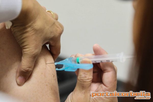 Campanha de vacina contra a gripe termina nesta terça-feira